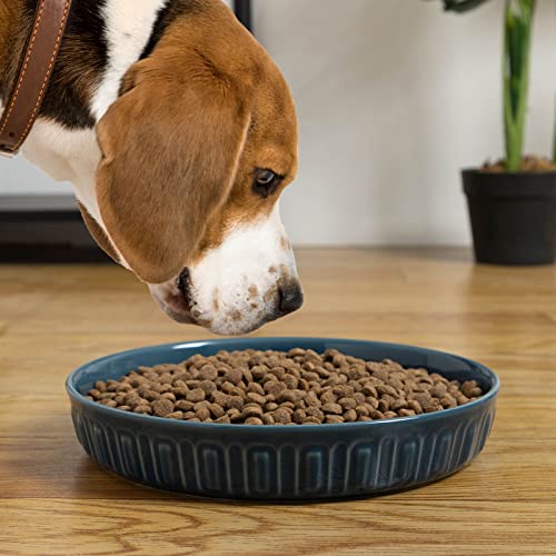  Fun Elements Shallow Dog Bowls, 10.5" Extra Large Ceramic Dog Bowls For Small, Medium And Large Breeds, Non-Slip Dog Food Plate, Flat And Wide, Dishwasher Safe, Suitable For Dogs And Cats (Blue)