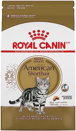  Royal Canin American Shorthair Breed Adult Dry Cat Food, 5.5 Lb Bag