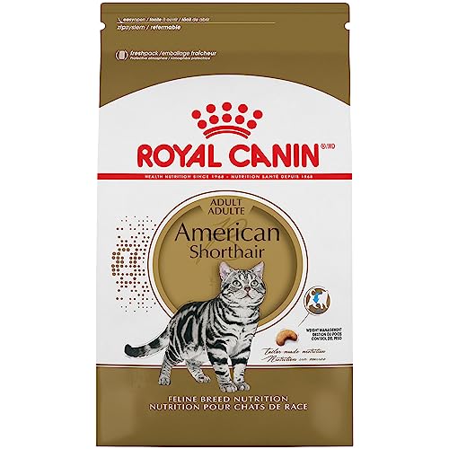  Royal Canin American Shorthair Breed Adult Dry Cat Food, 5.5 Lb Bag