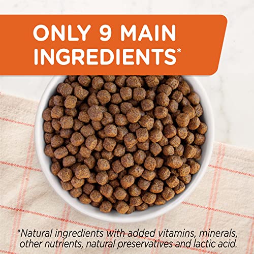  Rachael Ray Nutrish Limited Ingredient Lamb Meal & Brown Rice Recipe, Dry Dog Food, 14 Pound Bag (Packaging Design May Vary)