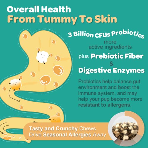  Dog Allergy Relief Freeze Dried Chews, With Probiotics, Colostrum For Immune Health, Anti Itch & Seasonal Allergies & Scratching, Omega 3 For Skin & Coat Health, Stop Pawlicking, Hot Spots, Shedding