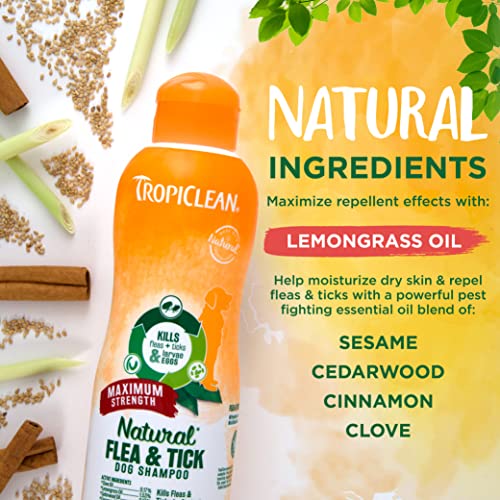  TropiClean Maximum Strength Natural Flea And Tick Dog Shampoo, Natural Flea And Tick Prevention For Dogs, Made In The USA, 20oz