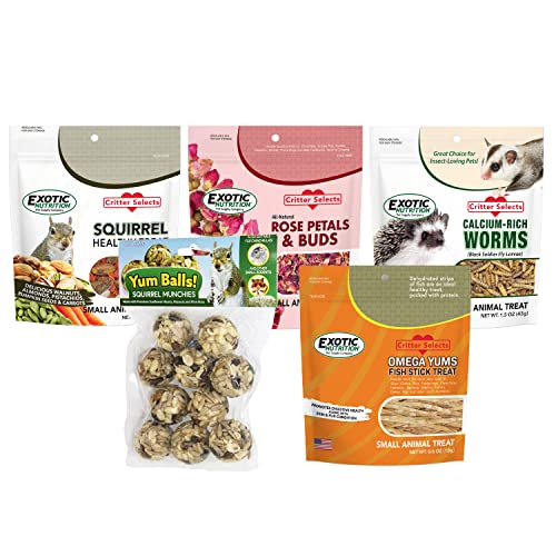  Squirrel Treat Bundle - Natural Healthy Assortment - Fruits, Veggies, Nuts, & Chews - Flying Squirrels, Ground Squirrels, Tree Squirrels, Chipmunks, Groundhogs, Prairie Dogs & Other Rodents