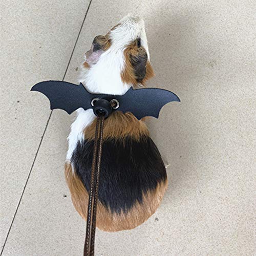  XxiaoTHAWxe Pet Leash Traction Rope, Adjustable Reptile Leash Bearded Dragon Lizard Harness Wing Traction Rope Set For Walking Training Running - Black Without Wing