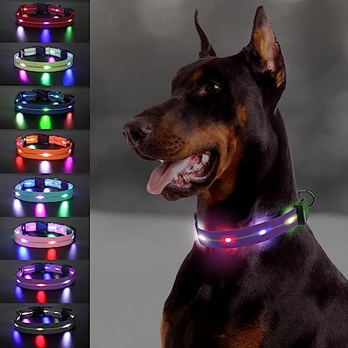  Joytale Light Up Dog Collars Rechargeable, High Visibility LED Dog Collar for Pet Night Walking, 3 Flash Modes, Rainproof PVC Glow Collar Adjustable for Small Medium Large Dogs, Teal, L