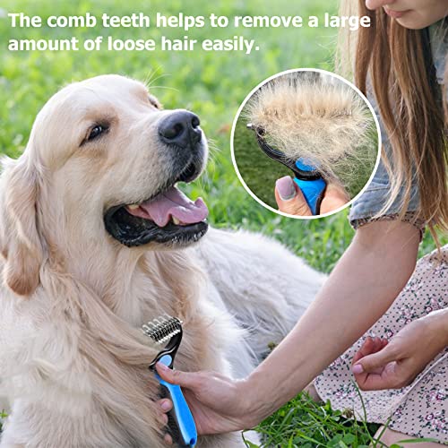  Dog Bowls Small Size Dogs And Dog Undercoat Rake
