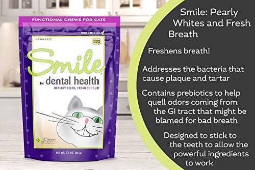  In Clover Smile Daily Dental Health Soft Chews For Cats (2.1 Oz) & Sleek Daily Skin, Coat, And Hairballs Support Soft Chews For Cats (2.1 Oz)