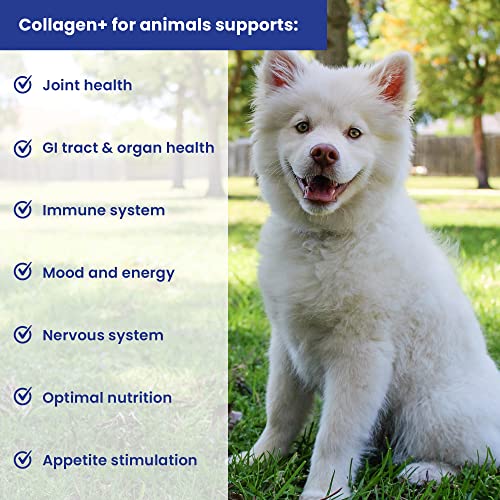  Collagen+ Ultimate Dog Or Cat Food Topper With Greens Probiotics Enzymes Colostrum Glucosamine Omegas Supports Healthy Joints Energy Digestion Immunity