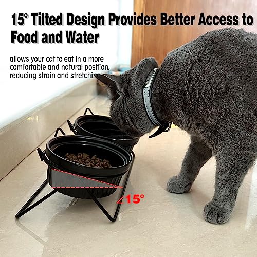  XINGTS Elevated Cat Bowls,Ceramic Raised Cat Food Bowl,15°Tilted Cat Feeding Bowls Elevated,Anti Vomiting Cat Bowls For Indoor Cats,Perfect For Cat And Small Dog Food And Water Bowl Dishes Set
