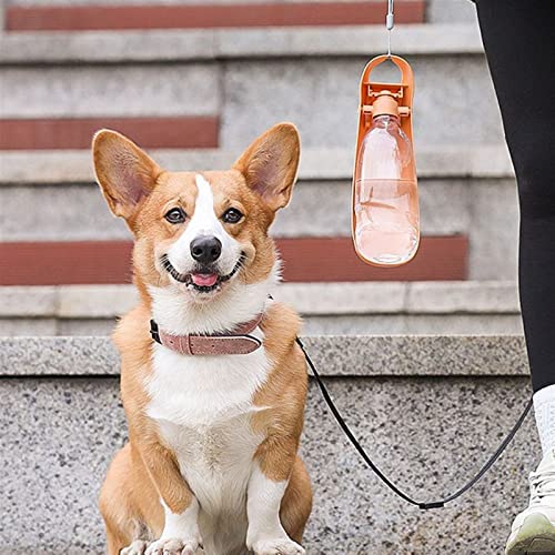  AACARB Cat Water Dispenser, Portable Pet Dog Cat Water Bottle Travel Cups Drinking Bowl Outdoor Feeder Leak Proof Dog Water Dispenser Pet Products For Dogs (Color : Orange)