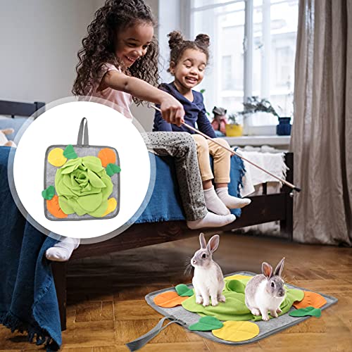  Mipcase 2pcs Tunnel Rabbits Clicker Pratical Dogs Rabbit, Forbid Mat With Puzzle Non All Sniff Small Chinchillas, Dog Things Pigs, For To Stuff Cooling Animals Rabbits, Licking