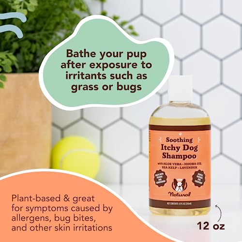  Natural Dog Company Itchy Dog Shampoo, 12 Oz., Dog Dry Skin Treatment, Dog Itch Relief, Hypoallergenic, Plant Based Ingredients, Deodorizing Dog Shampoo, Relief From Skin Allergy Symptoms