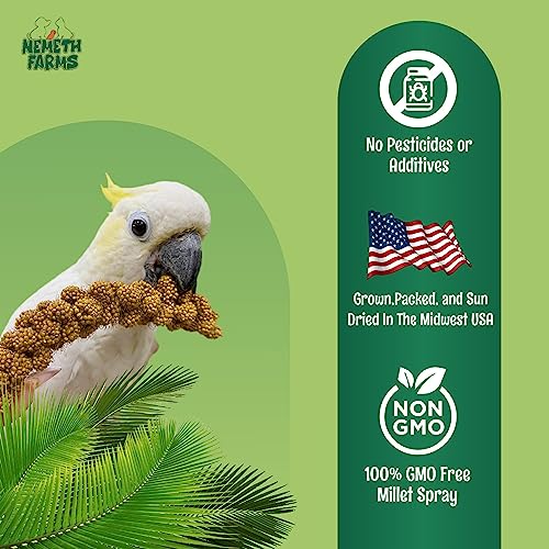  Nemeth Farms Worlds Freshest GMO-Free No Pesticide Sun Dried Spray Millet No Stems Only Edible Tops-Original Bird Treat And Supplement For Pet Birds Parakeets, Cockatiels, Lovebirds And Finches-5lbs
