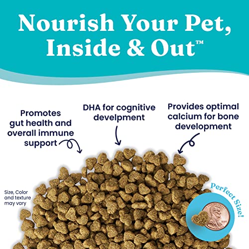 Solid Gold Dry Puppy Food - Made With Real Chicken & Nutritious Superfoods - Love At First Bark Grain Free Puppy Dry Food To Promote Healthy Growth, High Energy And Gut Wellness