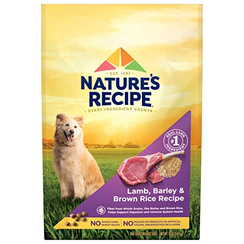  Nature’s Recipe Original Dry Dog Food For Adult Dogs, Lamb & Rice Recipe, 12 Lb Bag