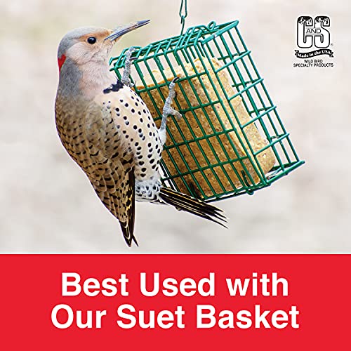 C&S Wild Bird Peanut Suet Treat, 56 Ounces, 6 Pack