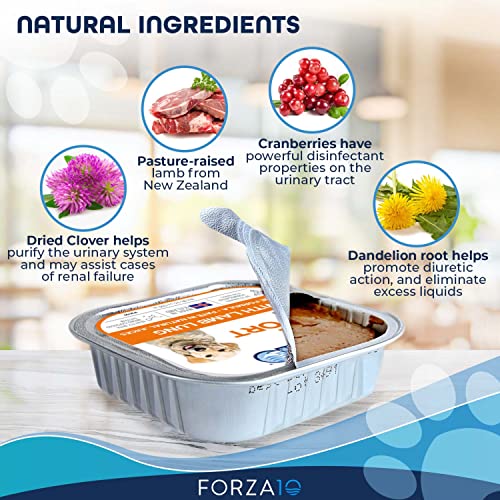  Forza10 Wet Dog Food Kidney RENAL ACTIWET, 3.5oz, Kidney Dog Food Wet, Renal Dog Food Lamb Flavor, Dog Renal Support Canned Dog Food (12 Pack)