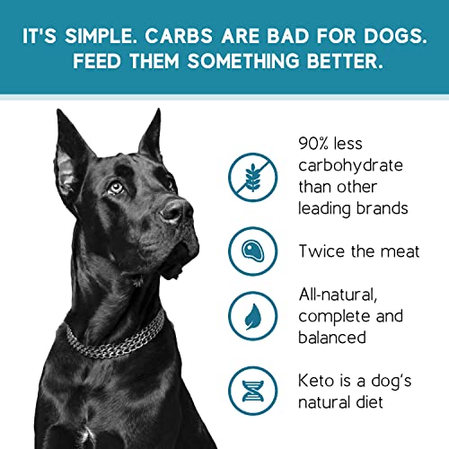  Ketona Chicken Recipe Adult Dry Dog Food, Natural, Low Carb (only 5%), High Protein (46%), Grain-Free, The Nutrition Of A Raw Diet With The Cost And Convenience Of A Kibble; 4.2lb