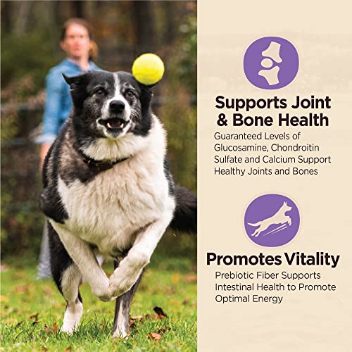  Wellness CORE Digestive Health Dry Senior Food With Wholesome Grains, Advanced Age For Dogs Over 7-Years Old, For Dogs With Sensitive Stomachs, Made In USA With Real Chicken (Senior, 24-Pound Bag)