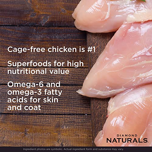  Diamond Naturals Small Breed Chicken And Rice Formula Adult Dry Dog Food With Protein From Real Chicken, Healthy Fats, Probiotics And Essential Nutrients For Small Breed Dogs 6lb