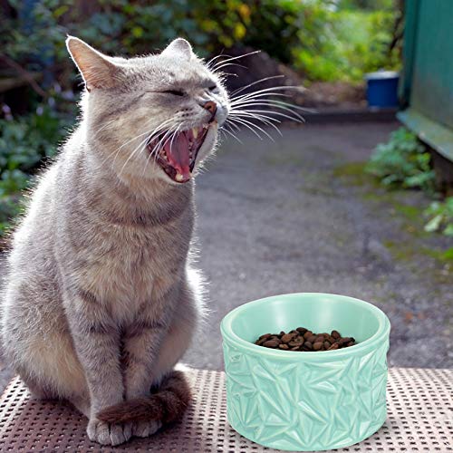  Pet Bowl Neck Protection Pet Feeder Ceramic Cat Bowl Cat Food Bowl Anti- Skid Feeder
