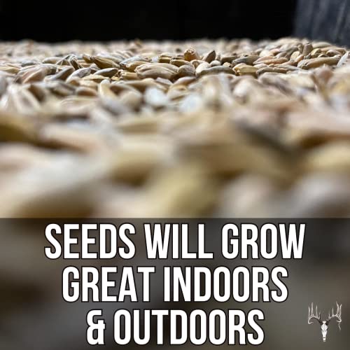  Crooked Bend Mother Fodder Blend, 8LB EcoPack, Grain Seeds For Bird Food & Growing Fresh Green Grass Sprouts To Feed Pet Rabbits, Cows, Horse, Chicken, Goat, Sheep, Quail, Dog, Cat, Duck & Tortoise