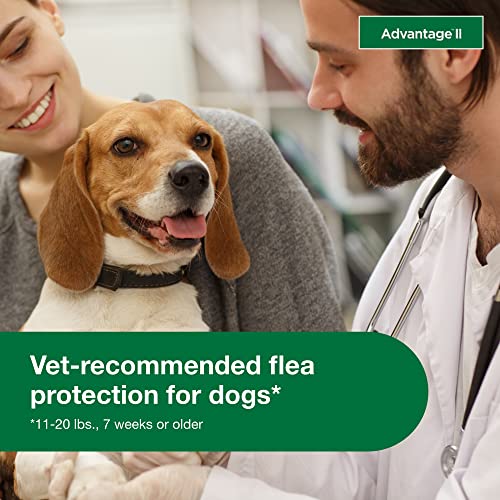  Advantage II Medium Dog Vet-Recommended Flea Treatment & Prevention | Dogs 11-20 Lbs. | 4-Month Supply