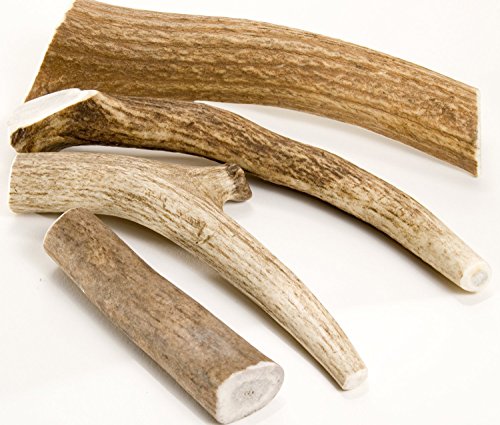  EcoKind Pet Treats Premium Elk Antlers For Dogs – Natural Antler Dog Treats – Healthy & Long-Lasting Dog Antler Tips – Odorless & Delicious – No Chemicals – 4 Pack