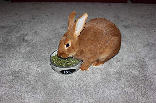  FAMILY FARM AND FEED | Alfalfa Hay Food | Small Pet | Young And Adult | Pellets | 5 Pounds