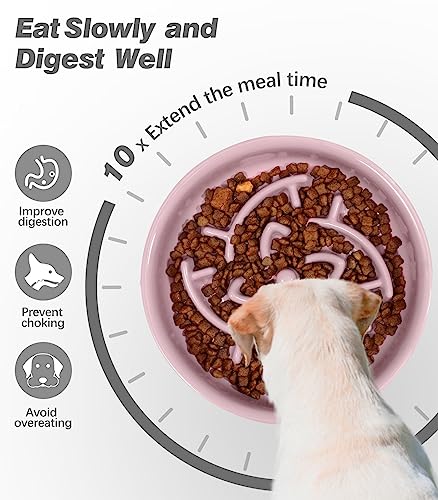  Tivray Slow Feeder Dog Bowls Small Breed, 1.5 Cups Ceramic Dog Slow Feeder Bowl, Puppy Slow Feeder Bowl For Fast Eaters Puzzle Dog Food Bowls Slow Feeder, Slow Eating Dog Bowl For Small & Medium Dogs
