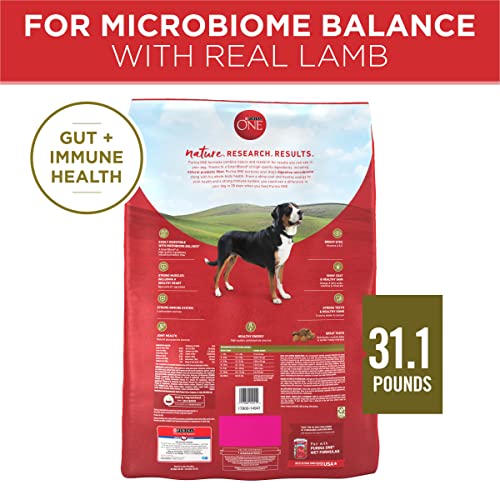 Purina ONE Dry Dog Food Lamb And Rice Formula - 31.1 Lb. Bag