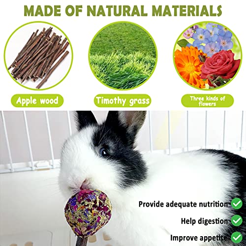  16 Pcs Rabbit Natural Timothy Hay Sticks Guinea Pig Natural Flowers Lollipop Chew Toys Timothy Hay Sticks Wood Molar Toys Small Animal Chew Treats For Bunny Hamsters Chinchillas Gerbils