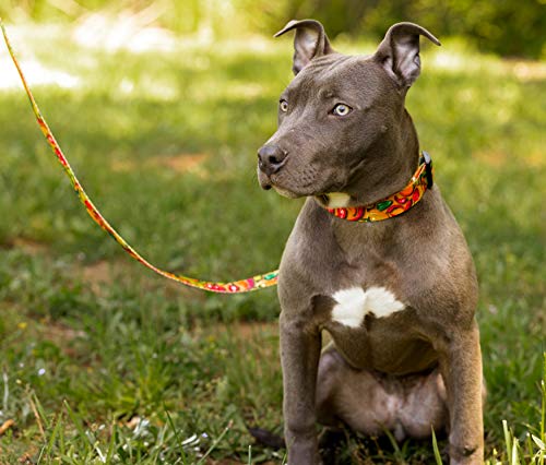  Country Brook Petz - Deluxe Scorching Peppers Dog Collar And Leash Limited Edition - Tasty Collection With 5 Yummy Designs (1/2 Inch, Extra Small)
