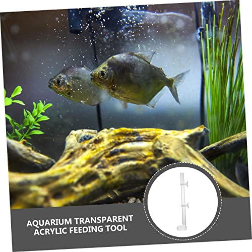  NOGRAX 1 Set Fish Tank Feeding Tube Clear Glass Clear Tray Auto Feeder Fish Feeder Tube Water Food Dish Acrylic Shrimp Feeding Tube Fish Feeding Supply Feeding Tube With Sucker Automatic Feeder (Colo