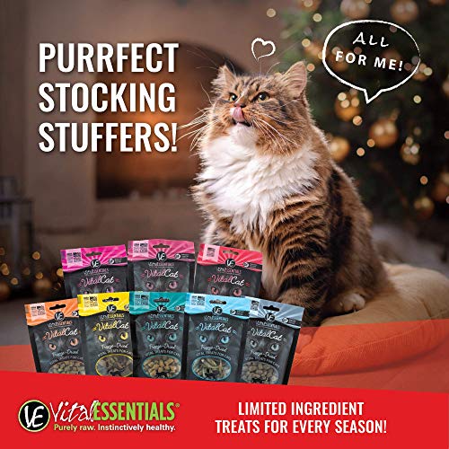  Vital Cat Freeze-Dried All-Natural Wild Alaskan Salmon Cat Treats, 1.1 Oz.