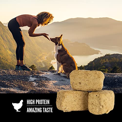  ORIJEN Freeze Dried Original Dog Treats, WholePrey Ingredients, 3.25oz