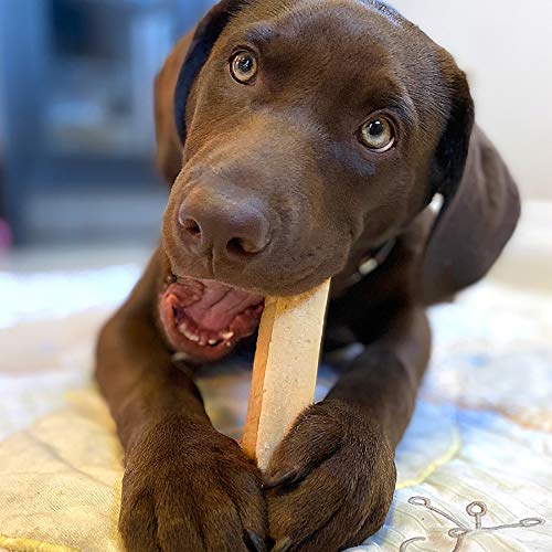  Himalayan Dog Chew Yak Cheese Dog Chews, 100% Natural, Long Lasting, Gluten Free, Healthy & Safe Dog Treats, Lactose & Grain Free, Protein Rich, Large Dogs 55 Lbs & Smaller, Real Bacon Bits, 3.3 Oz