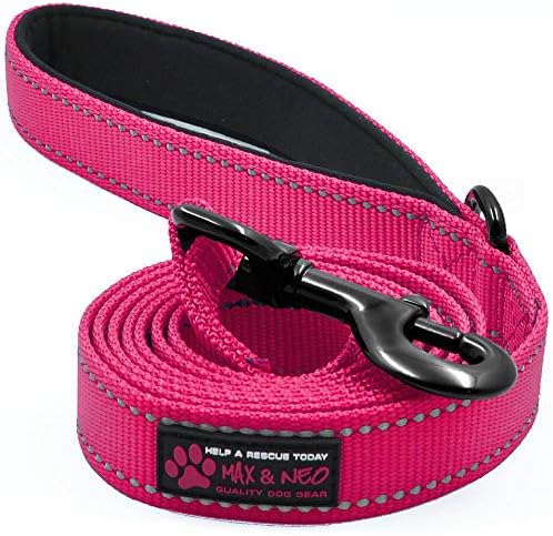  Max And Neo Reflective Nylon Dog Leash - We Donate A Leash To A Dog Rescue For Every Leash Sold (Purple, 4x1)