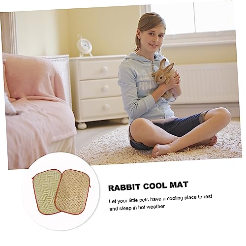  POPETPOP 4 Pcs Rabbit Mat Toys For Guinea Pigs Kitten Toys Guinea Pig Chew Toys Small Animal Grass Mat Small Animal Bedding Hamster Cooling Mat Cooling Grass Mat Natural Pet Bed