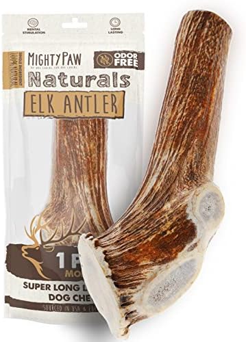  Mighty Paw Elk Antlers For Dogs | Medium Size 6" Premium Deer Antlers For Dogs, Pets And Puppies. Long Lasting Deer Antler Dog Chew For Aggressive Chewers. Dog Antler Chews For Large And XL Dog (2pk)