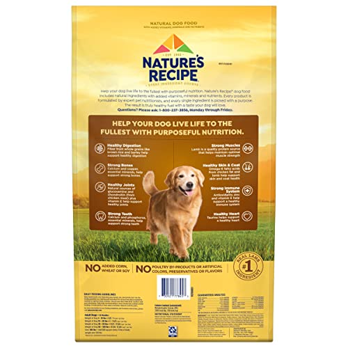  Nature′s Recipe Dry Dog Food, Mature Lamb & Brown Rice Recipe, 24 Lb. Bag