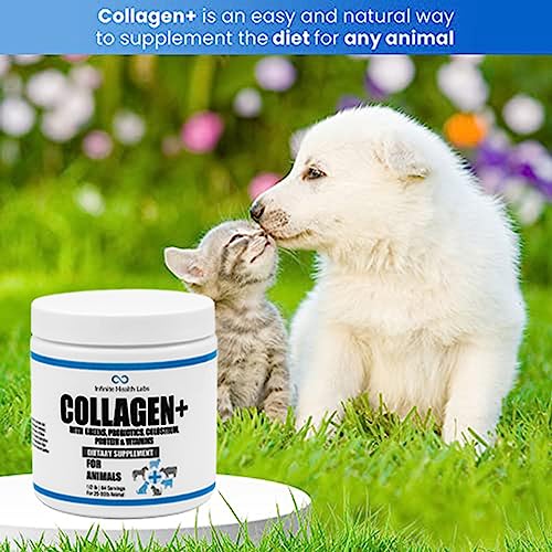  Collagen+ Ultimate Dog Or Cat Food Topper With Greens Probiotics Enzymes Colostrum Glucosamine Omegas Supports Healthy Joints Energy Digestion Immunity
