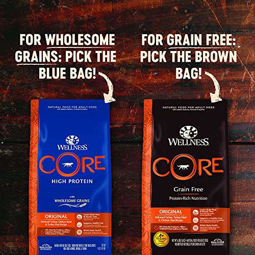  Wellness CORE Grain-Free Senior Dry Dog Food, Made In USA With Natural Ingredients, No Meat By-Product, Fillers, Artificial Flavors, Or Preservatives (12-Pound Bag, Turkey)