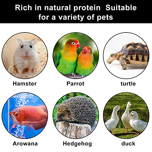  RANZ 5LBS Bulk Non-GMO Dried Mealworms For Chickens, High In Protein Mealworm Treats, Best For Wild Birds, Ducks, Hens, Fish, Turtle, Hedgehog, Hamster, Reptiles & Amphibian.