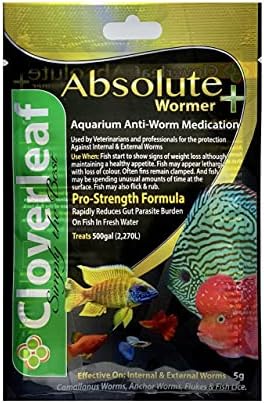  WORMER Plus - Freshwater And Saltwater Fish Powder Medication. Dewormer For Fish With Parasites And Flukes. 20G - Treats 2400 GALLONS