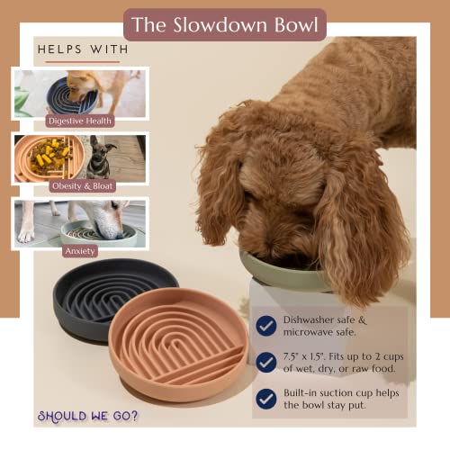  Slow Feeder Dog Bowl: The Slowdown Bowl Is A Modern, Silicone Puzzle Bowl & Lick Mat. Slow Eating, Stop Gulping, Take It Easy. Dishwasher Safe. (Sage)