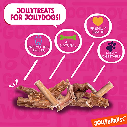  JollyBarks Bully Bites Dog Treats (1lb) Premium Natural Single Ingredient Odor Free Bully Sticks For Small Dogs - Grass Fed, Non-GMO Long Lasting Bully Sticks For Puppies, Small Bully Sticks (1lb Bag)