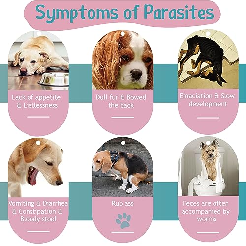  Flea And Tick Prevention For Dogs Chewable Tablets, Natural Oral Flea Tick Supplement, Heartworm Treatment Soft Chew For Small Dog Puppies, Mosquito Control Pest Treat, All Breeds Ages, 100 Count