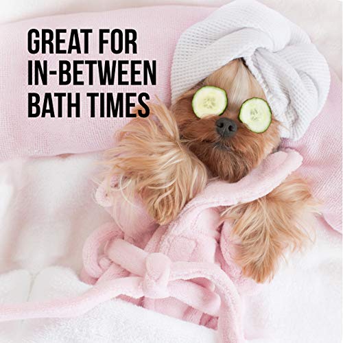  Natural Rapport Female Dog Cologne Spray With Floral & Coconut Scent - The Only Between Bath Spray Dogs Need - Convenient, Between-Bath Dog Deodorant Spray And Pet Urine Odor Eliminator Perfume (Female, 8 Fl Oz.)