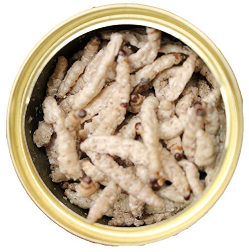  Canned Caterpillars (1.2 Oz. 6 Pack) - Healthy High Protein Insect Treat - Hedgehogs, Sugar Gliders, Reptiles, Wild Birds, Chickens, Lizards, Bearded Dragons, Skunks, Opossums, Fish, Amphibians